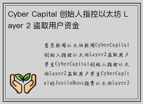 Cyber Capital 创始人指控以太坊 Layer 2 盗取用户资金
