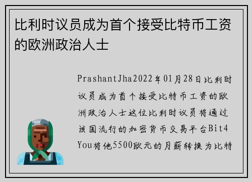 比利时议员成为首个接受比特币工资的欧洲政治人士 
